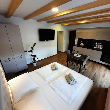 Apartments Hlapi With Spa Kobarid Extérieur photo