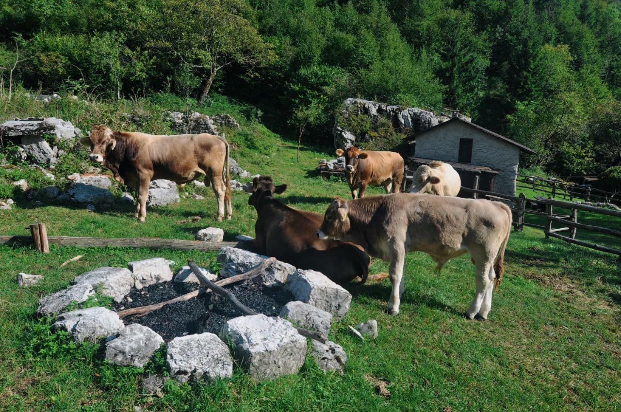 Hlapi With Appartement Kobarid